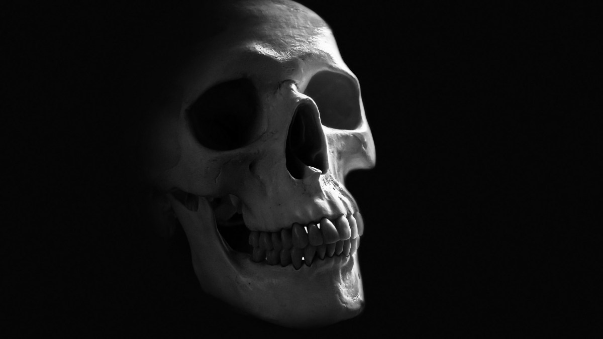 human-skull human-skull