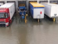 amazon-camions