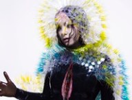 bjork-vulnicura-header