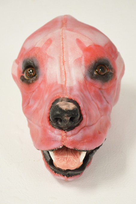 Canine_Muscled_Head2_wotvob Canine_Muscled_Head2_wotvob