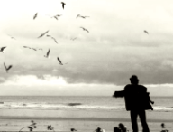 Capture d’écran (198)