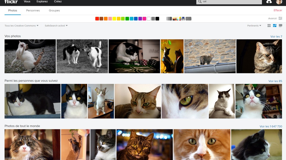 chats chats