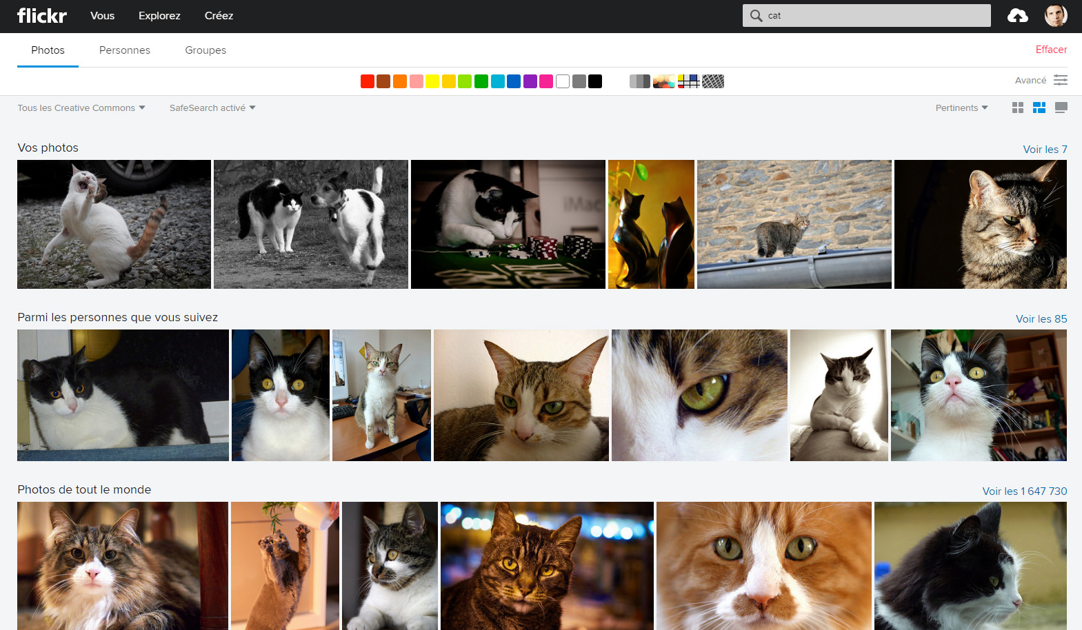 chats chats