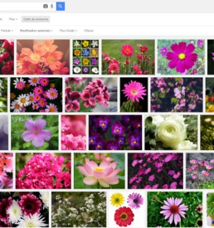 google-photos