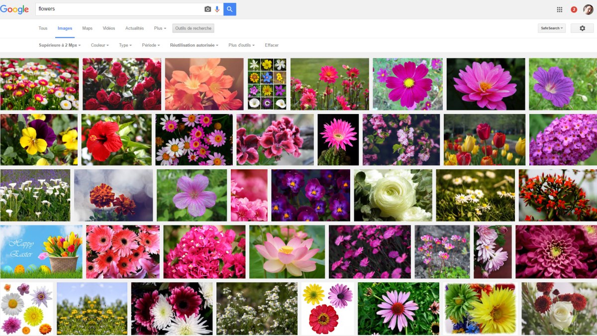 google-photos google-photos