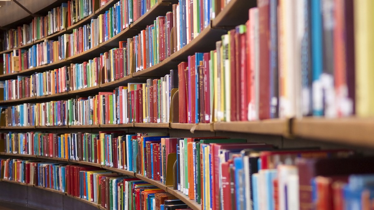 bibliotheque bibliotheque