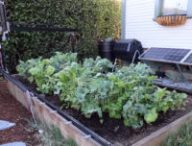 farmbot-1640