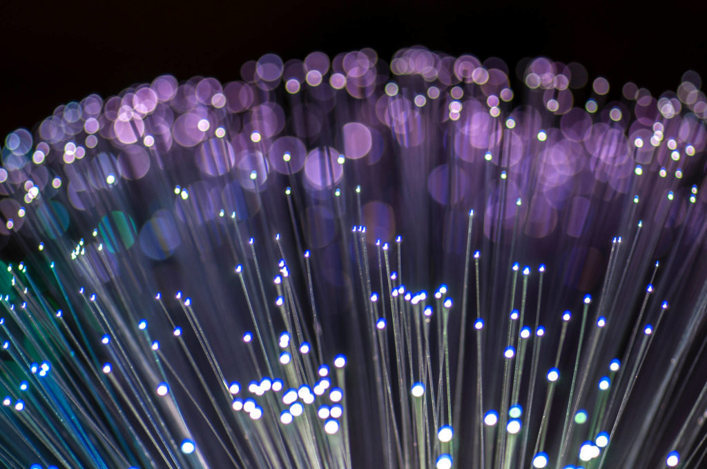 La fibre magique La fibre magique