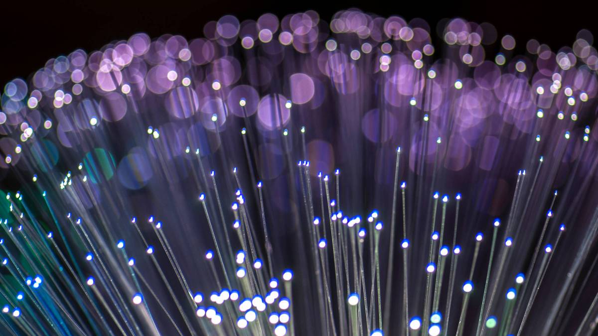 La fibre magique La fibre magique