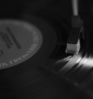 vinyle vinyle