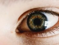 Oeil