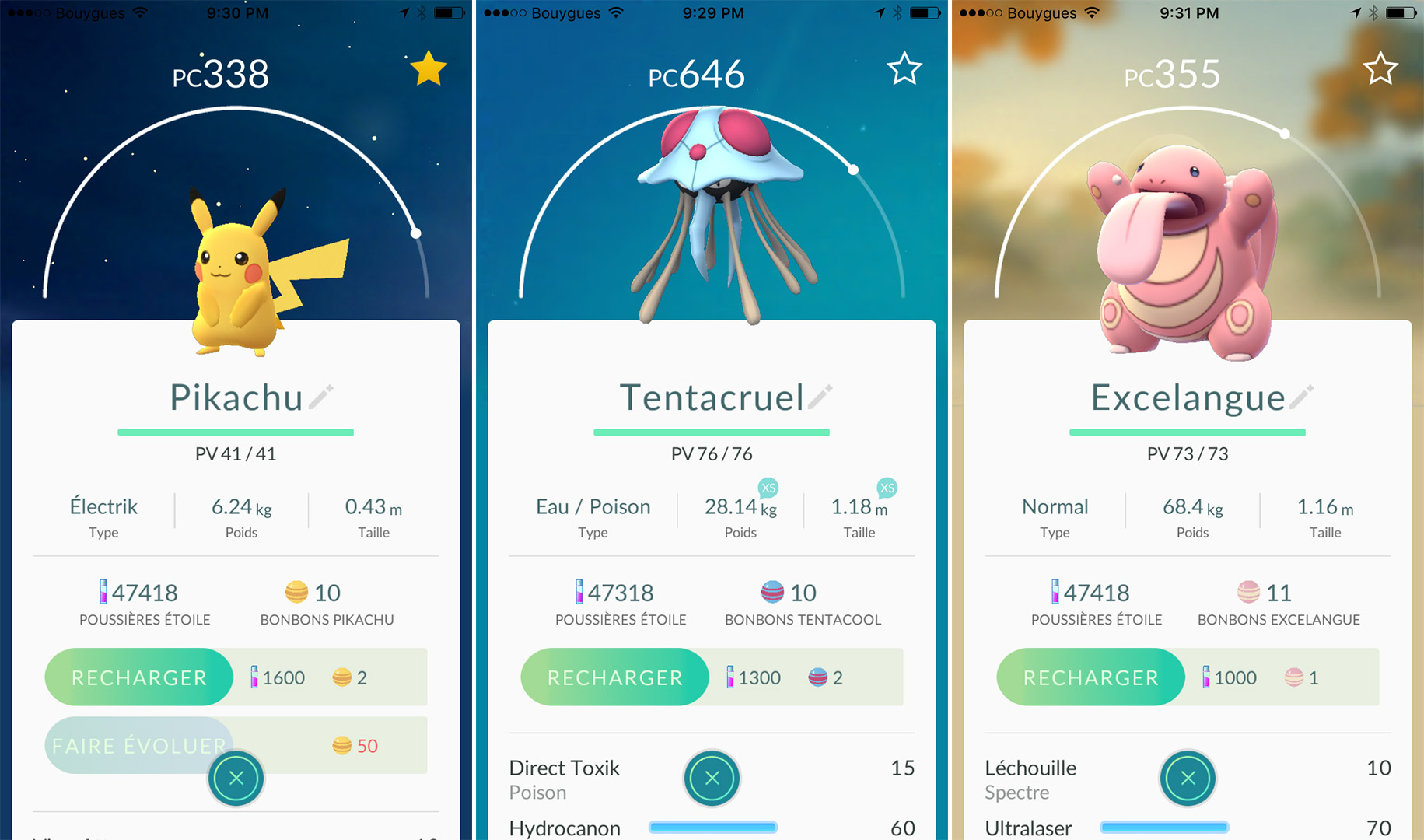 pokego-vision