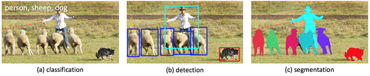 detection detection