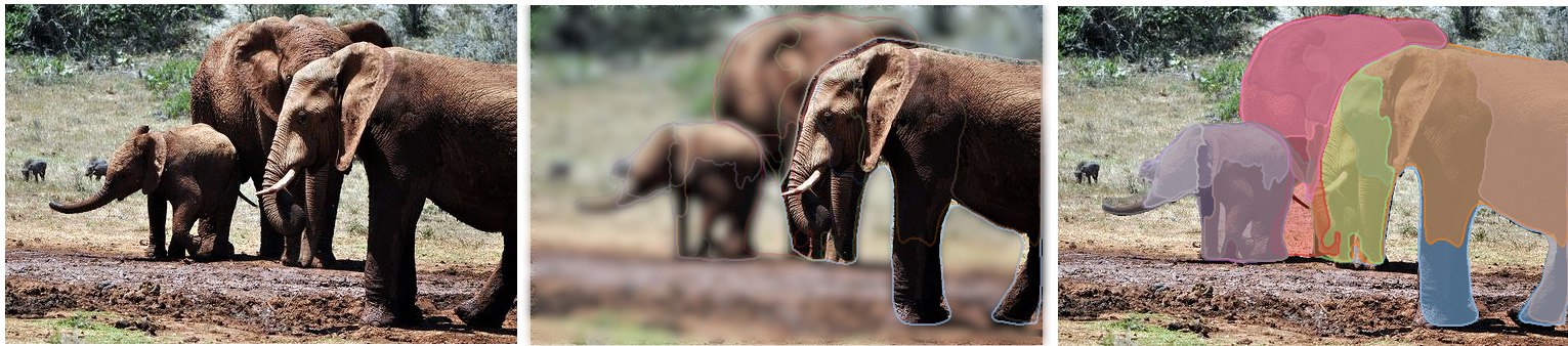 Facebook-elephants Facebook-elephants