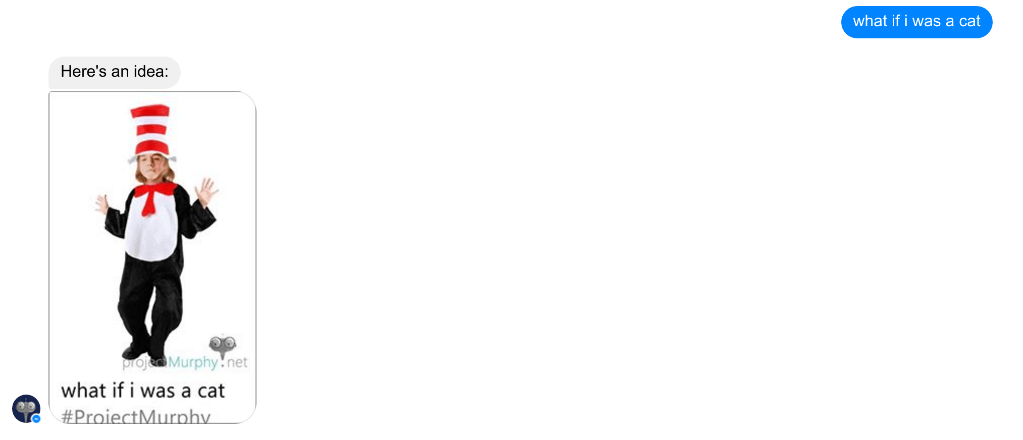 Le bot trouve notre visage sur une photo uploadée, et l'associe malencontreusement au pire costume de chat possible Le bot trouve notre visage sur une photo uploadée, et l'associe malencontreusement au pire costume de chat possible