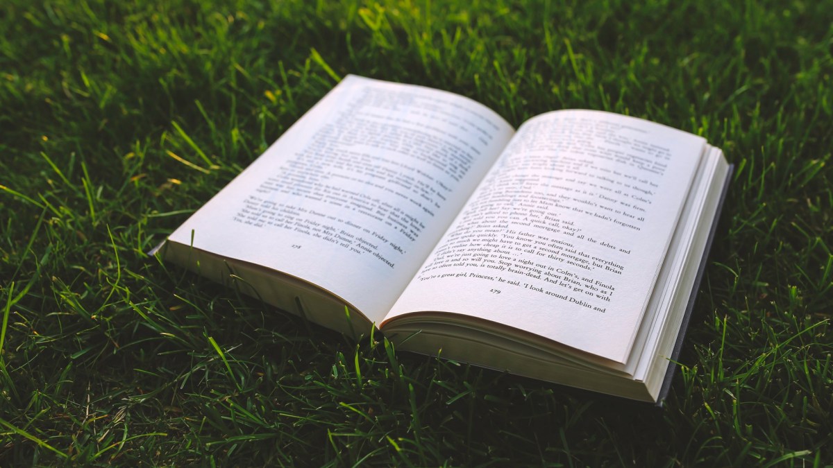 nature-grass-green-book nature-grass-green-book