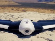 Parrot Disco