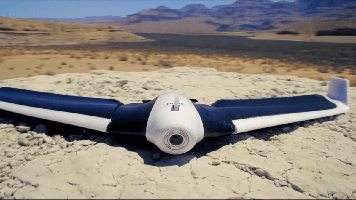 Parrot Disco Parrot Disco