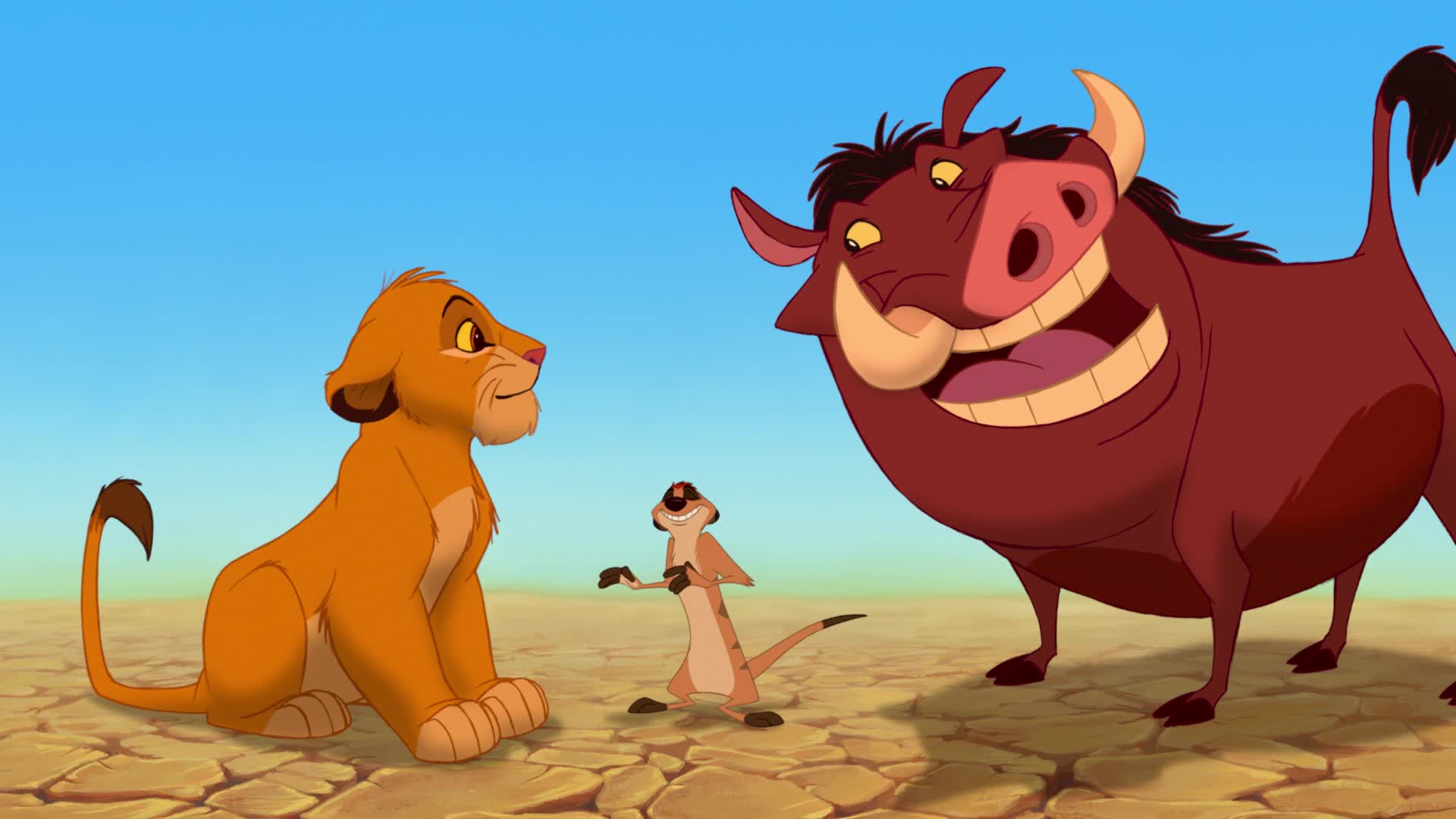 Roi lion Roi lion