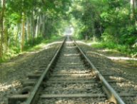 train