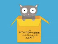 une-statistique-chat