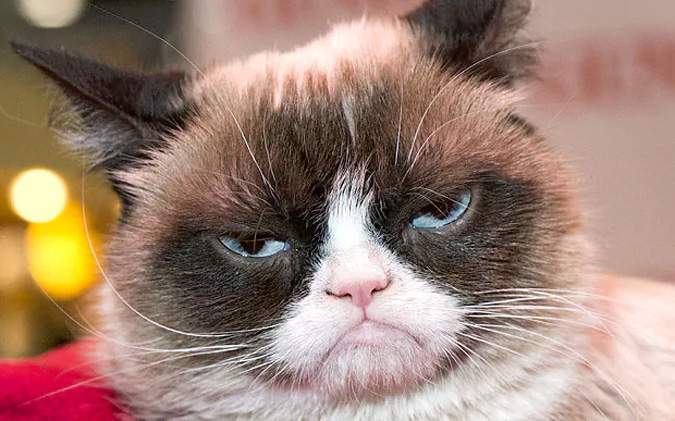 grumpy grumpy
