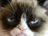 grumpycat