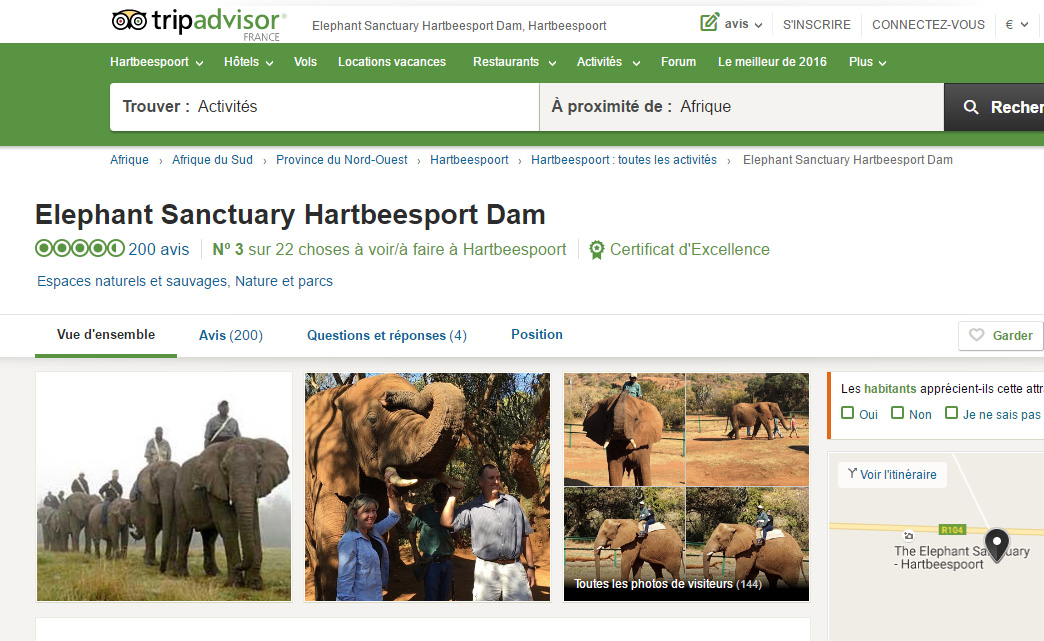 elephant-tripadvisor elephant-tripadvisor