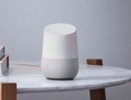 Voilà peut-être l'ancêtre de notre futur meilleur ami