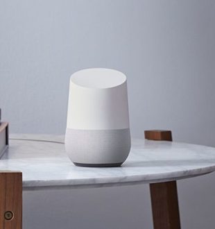 Voilà peut-être l'ancêtre de notre futur meilleur ami Voilà peut-être l'ancêtre de notre futur meilleur ami