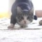 maxresdefault-3