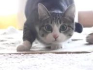 maxresdefault-3