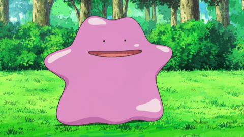 ditto-metamorph ditto-metamorph