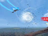 Eagle Flight