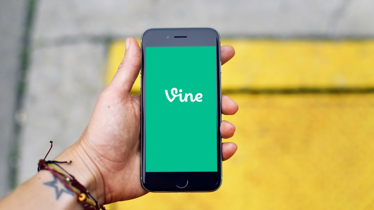 vine vine