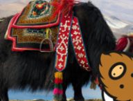 yikyakune