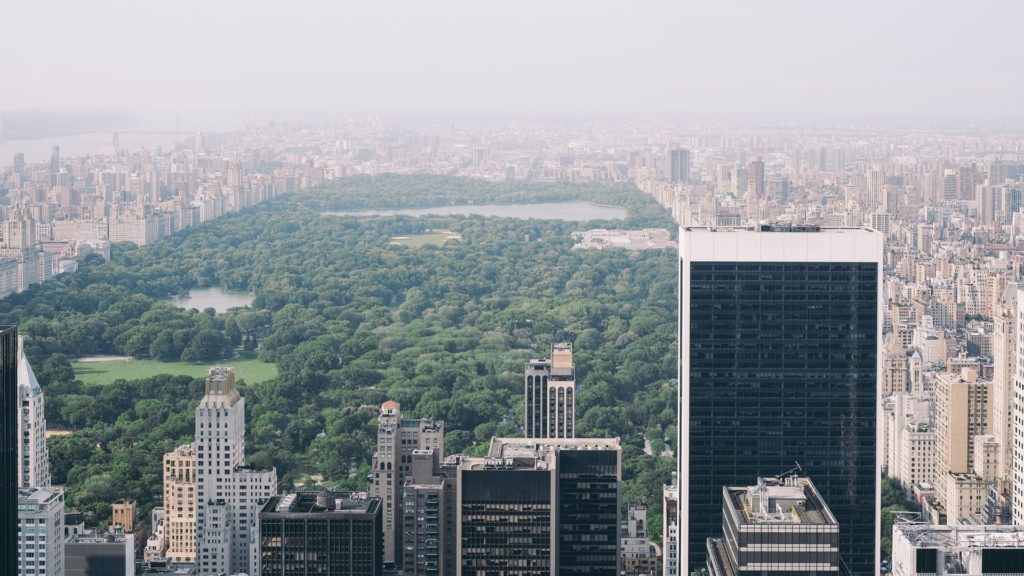 central-park-arbre-new-york central-park-arbre-new-york