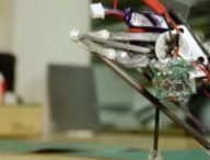 salto-robot
