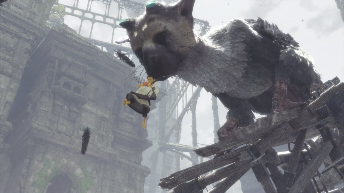 The Last Guardian // Source : Sony The Last Guardian // Source : Sony