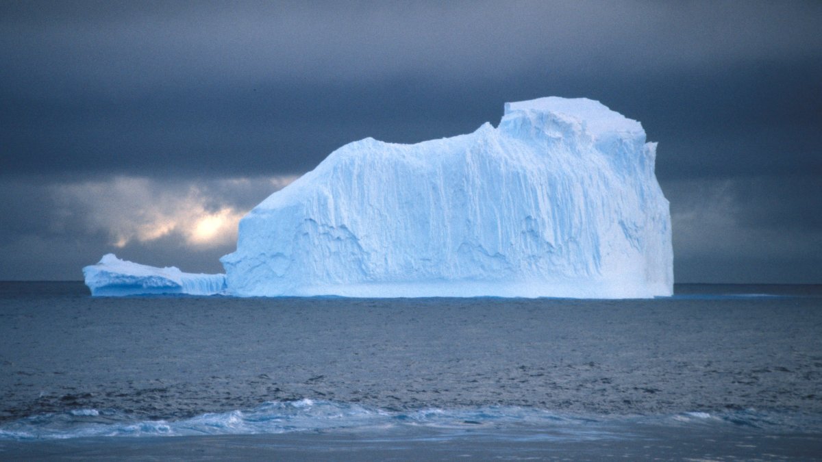 Iceberg Iceberg