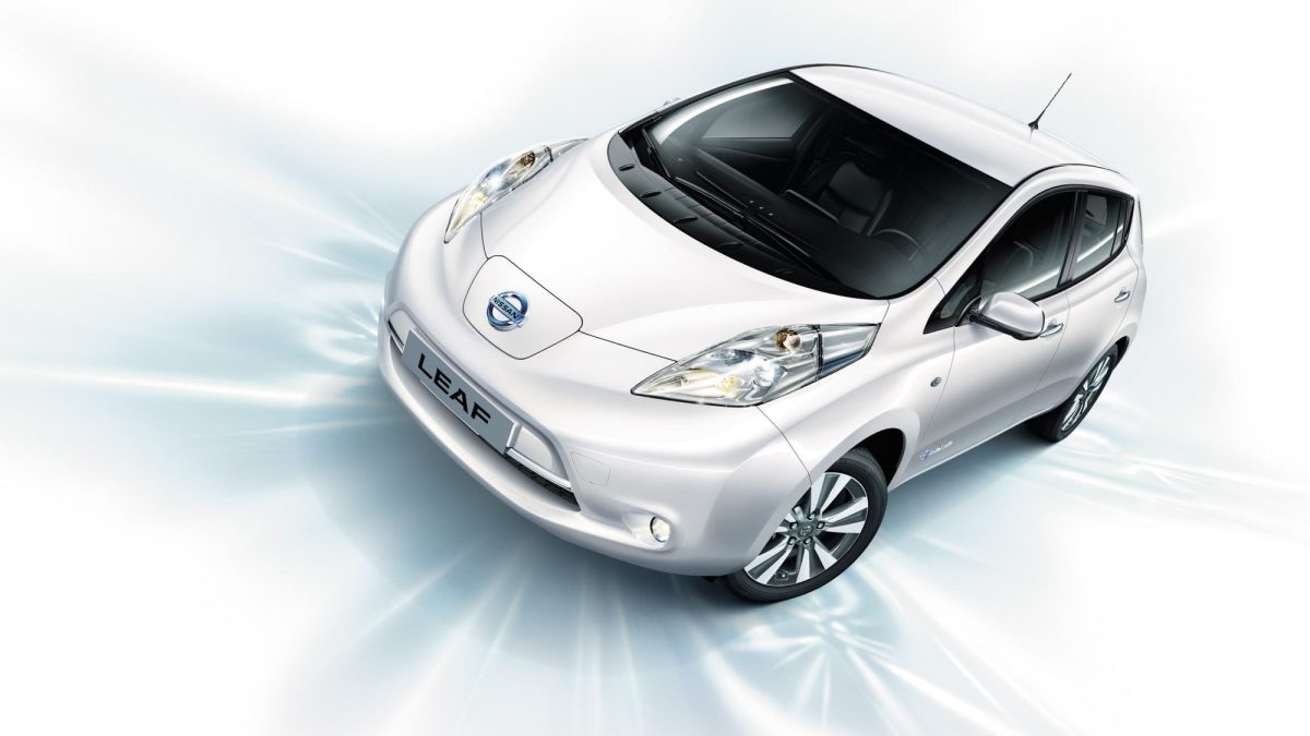 leaf-overview-front-view-jpg-ximg-l_full_h-smart leaf-overview-front-view-jpg-ximg-l_full_h-smart