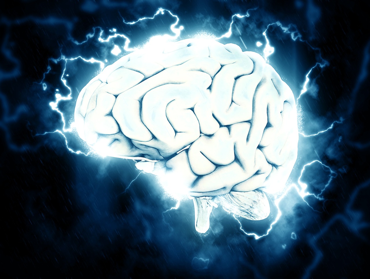 cerveau3 cerveau3