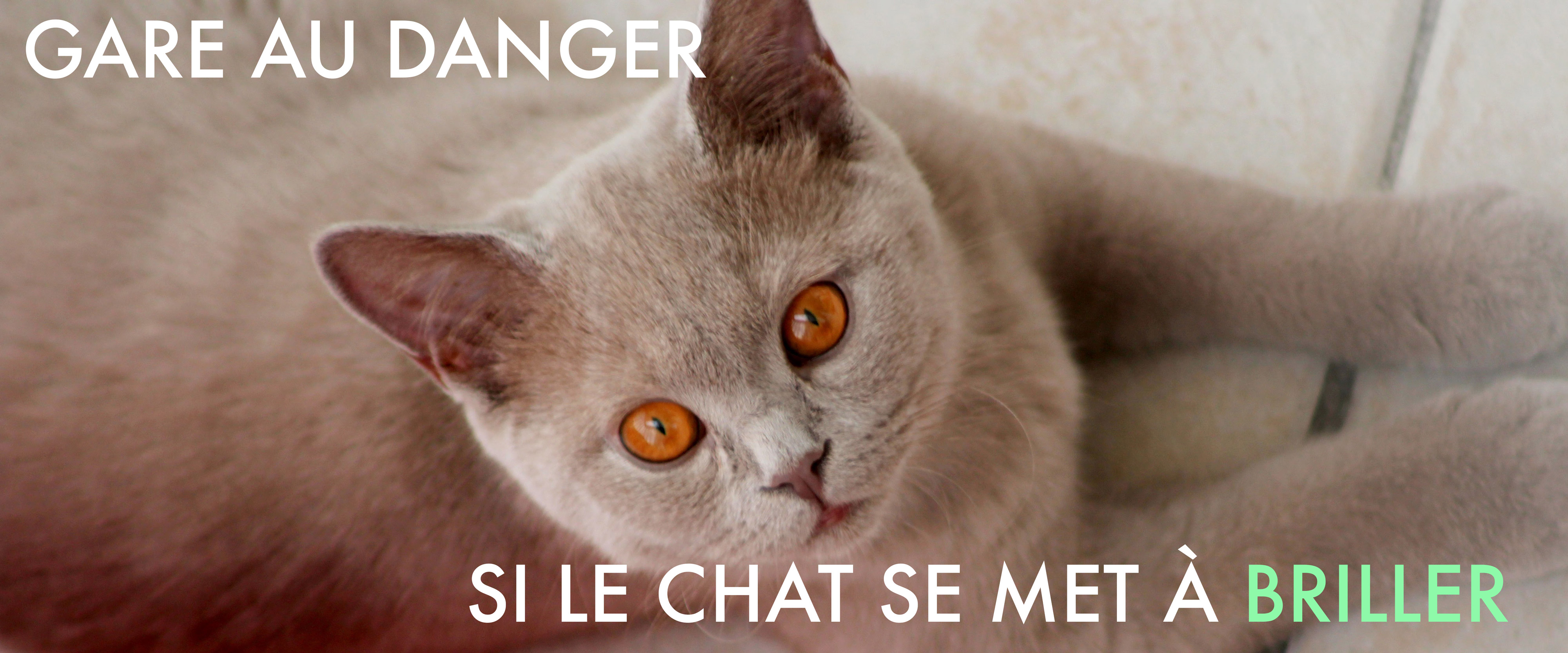 chatvoisinradio chatvoisinradio