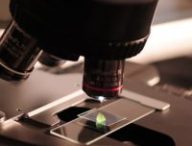 microscope