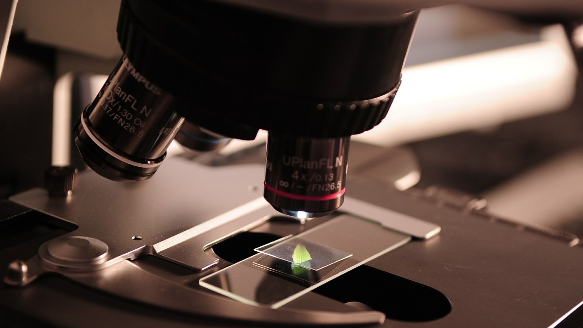 microscope microscope