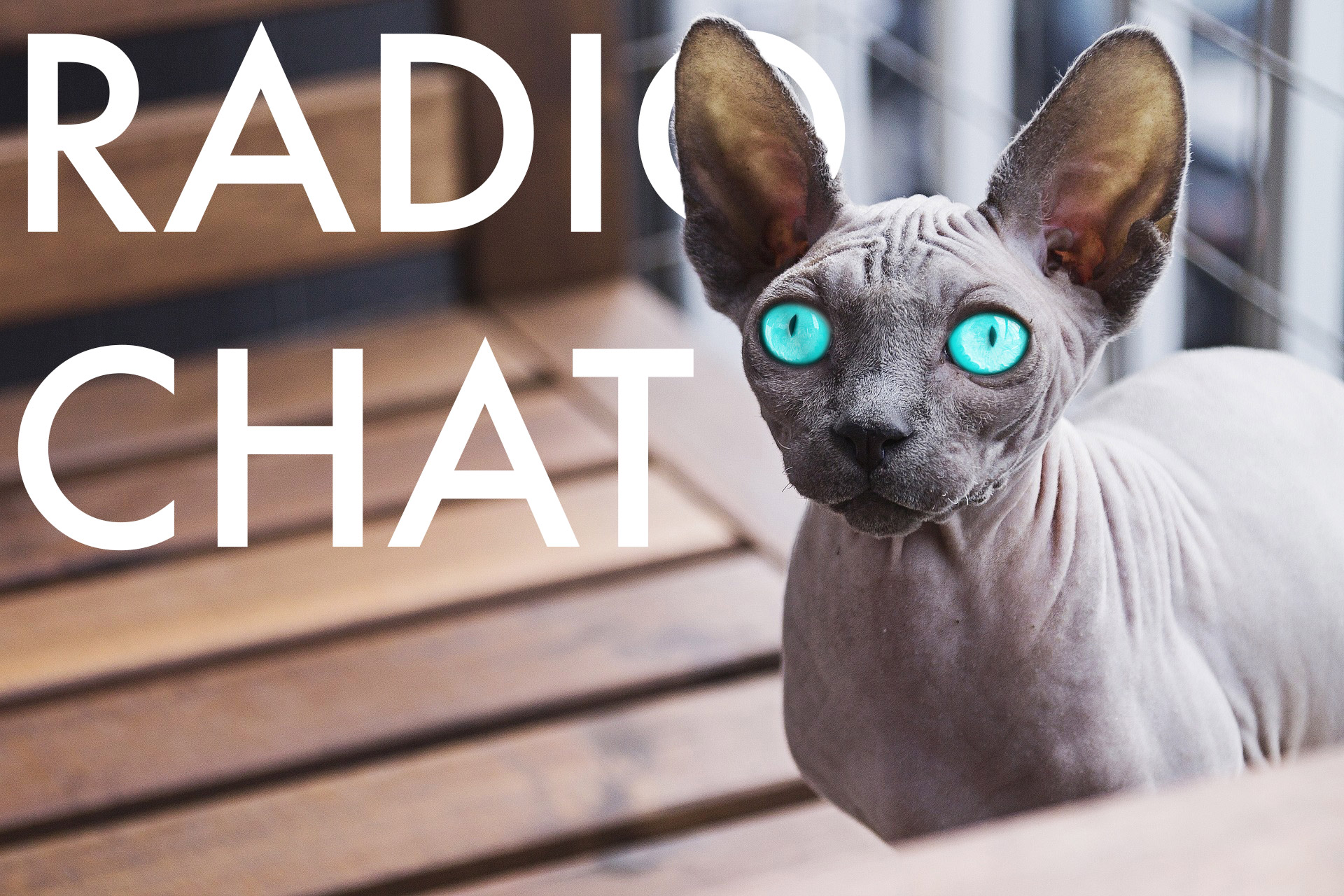 radiocha radiocha