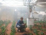 Matt Damon, dans le film Seul sur Mars. // Source : Fox