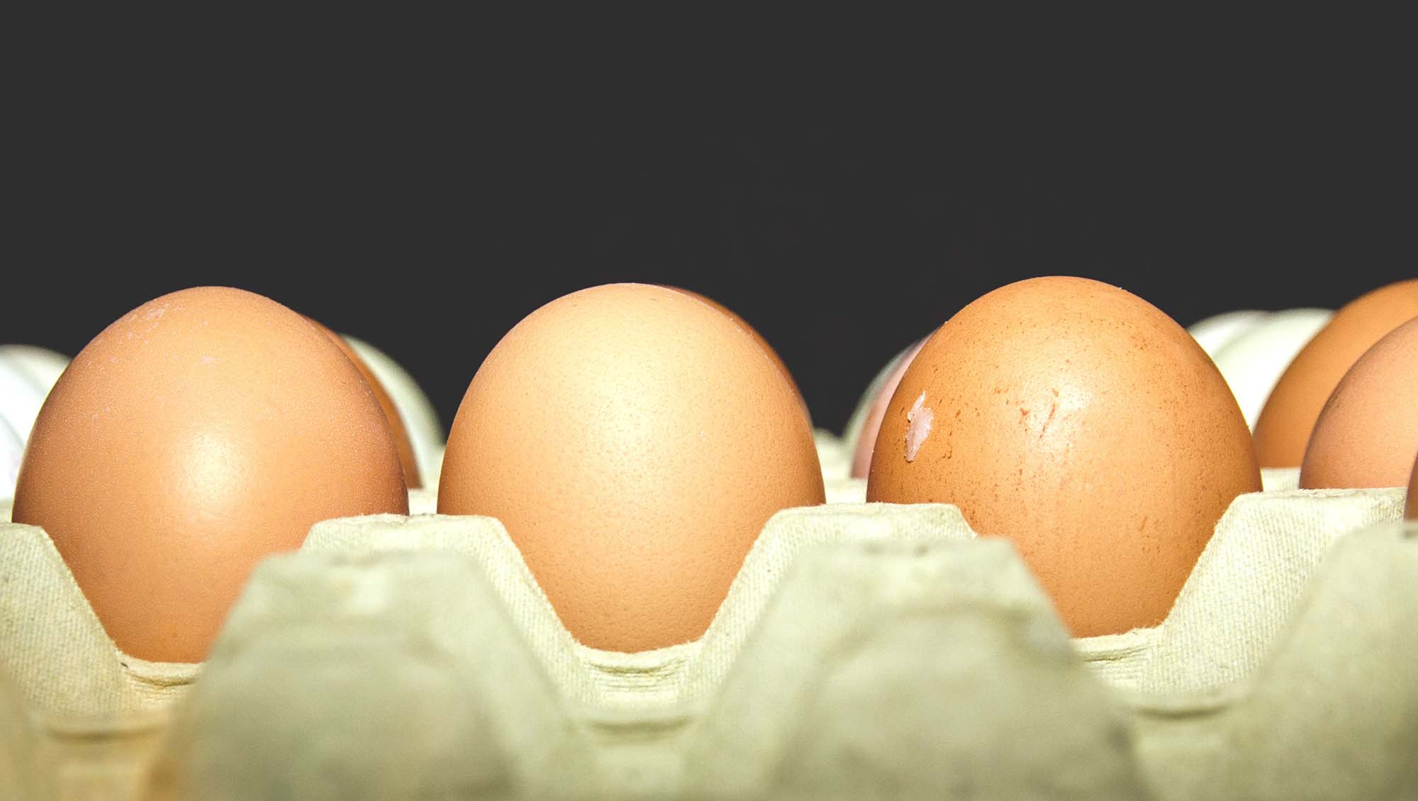 oeufs-boite oeufs-boite