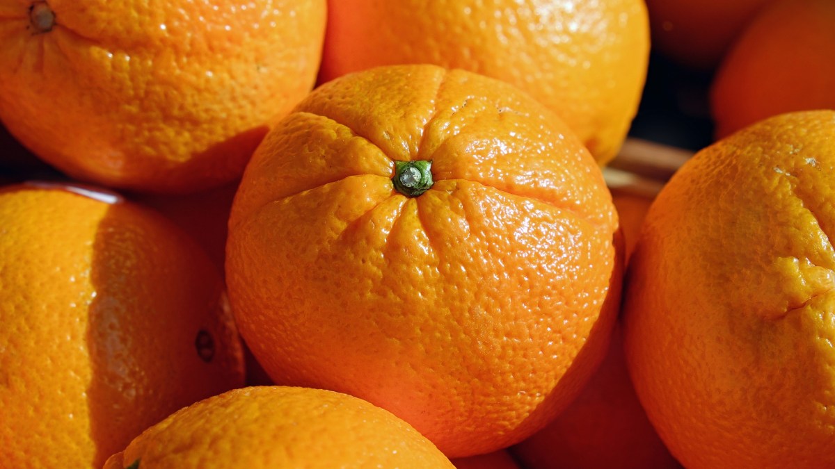 oranges oranges