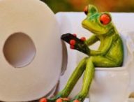 toilettes papier toilette